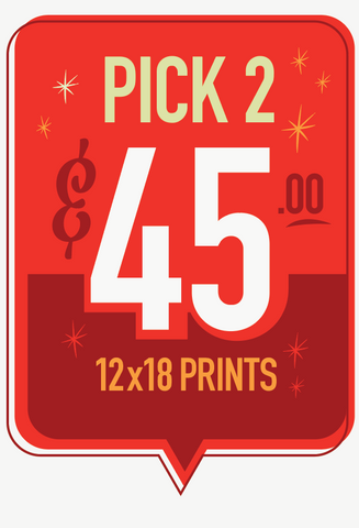12x18  Prints - Pick 2