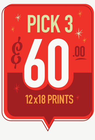 12x18  Prints - Pick 3