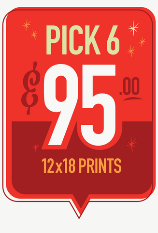 12x18  Prints - Pick 6