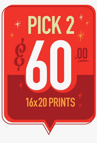 16x20  Prints - Pick 2