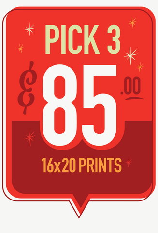 16x20  Prints - Pick 3