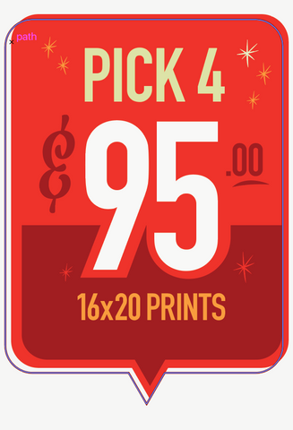 16x20  Prints - Pick 4